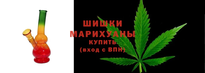 шишки Переславль-Залесский
