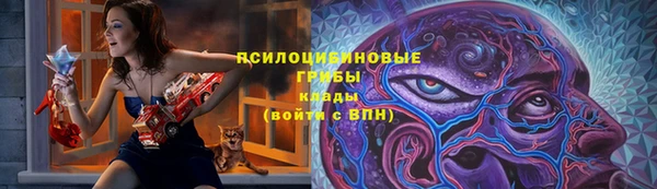 винт Рыльск