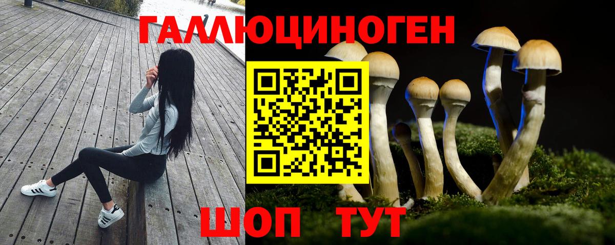 Галлюциногенные грибы GOLDEN TEACHER  купить закладку  Луховицы 