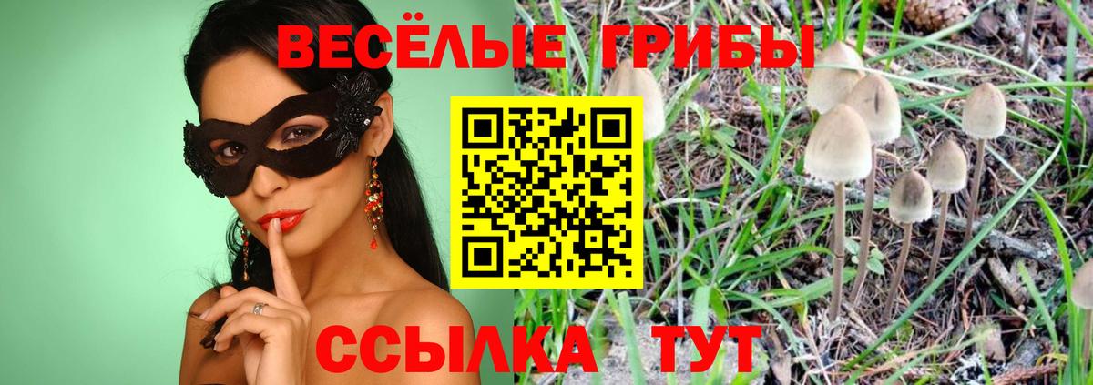 Псилоцибиновые грибы прущие грибы  Псилоцибиновые грибы мицелий  Вход с VPN  купить наркотик  Луховицы 