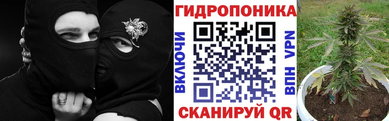Марихуана OG Kush  купить наркотик  Луховицы 
